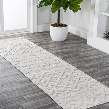 Peralta Moroccan Diamond Indoor/outdoor Area Rug